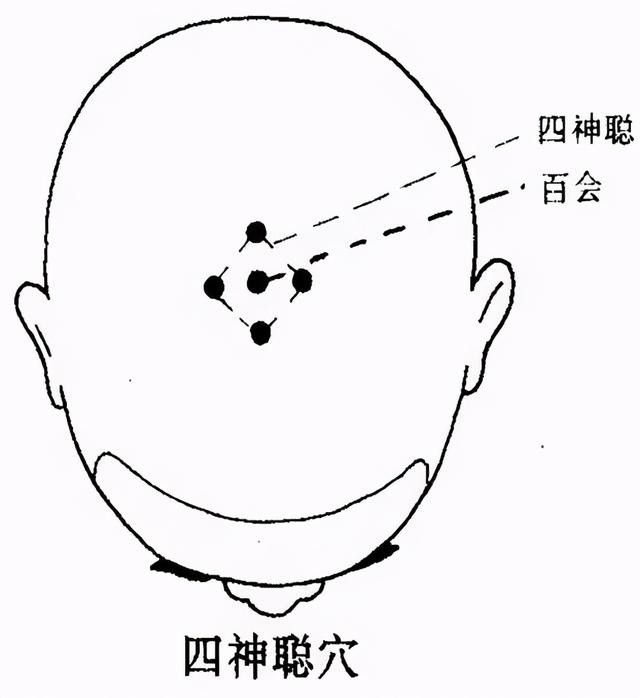 健康一招灵|头上有四个"养发穴",常按不脱发