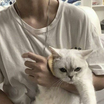 听说用抱猫猫的男生头像更容易撩妹哦