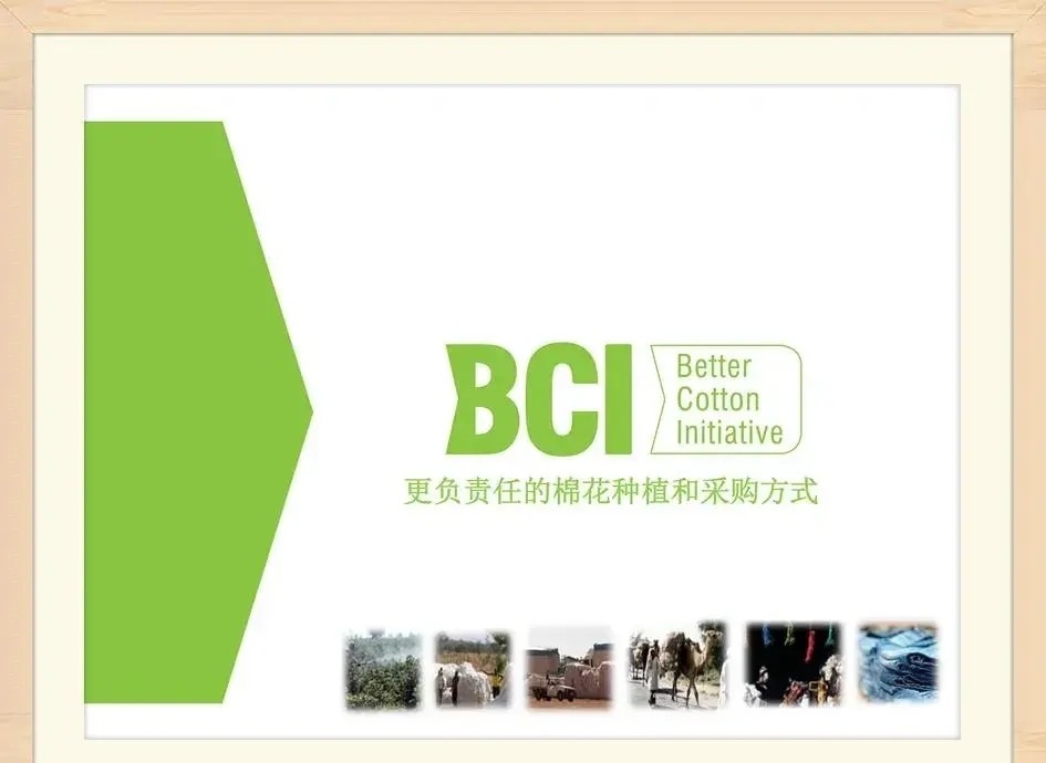 抵制瑞士bci