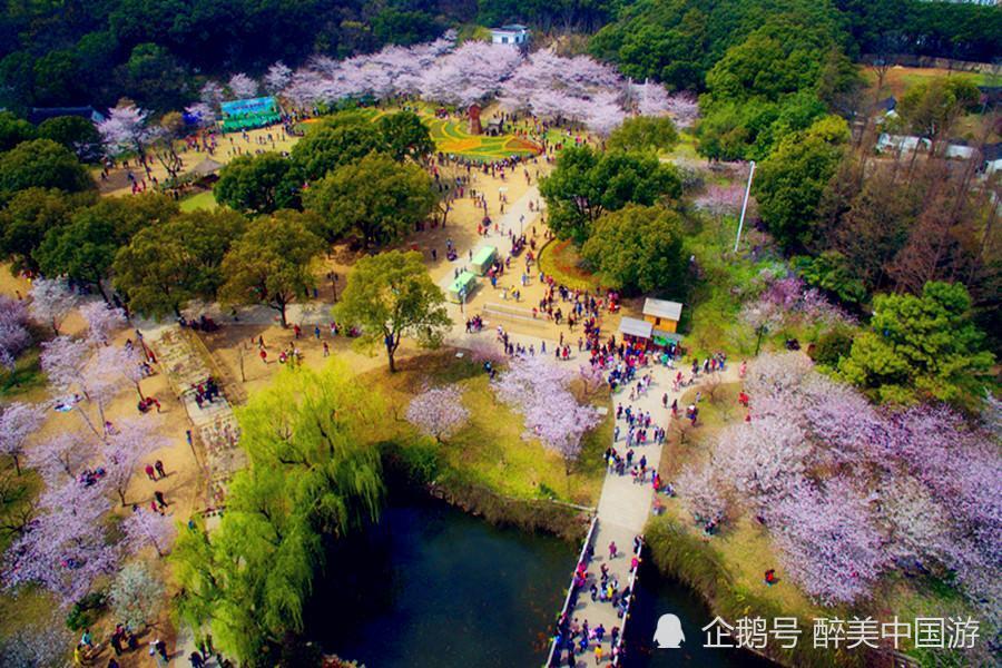 苏州上方山国家森林公园