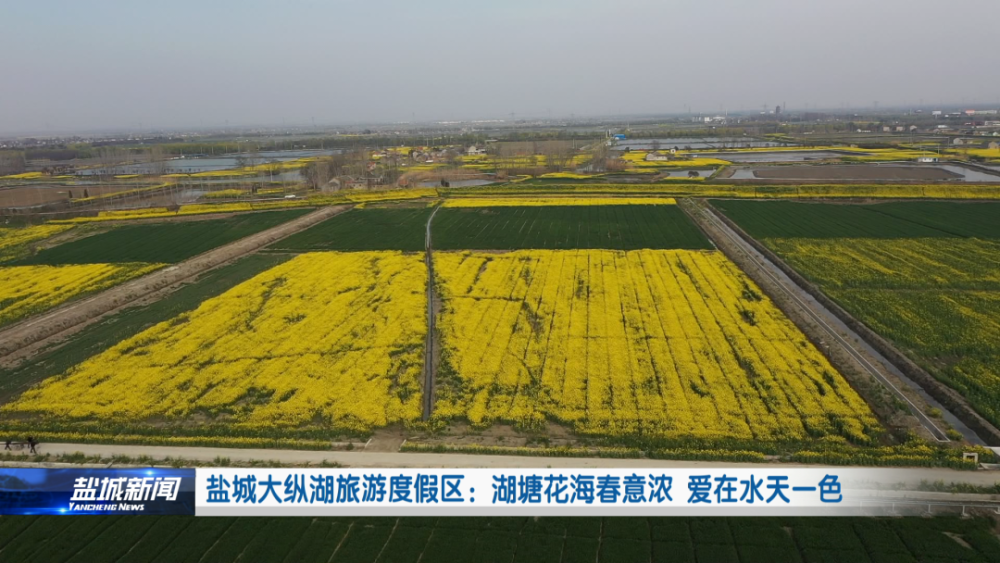 盐城大纵湖旅游度假区:湖塘花海春意浓 爱在水天一色