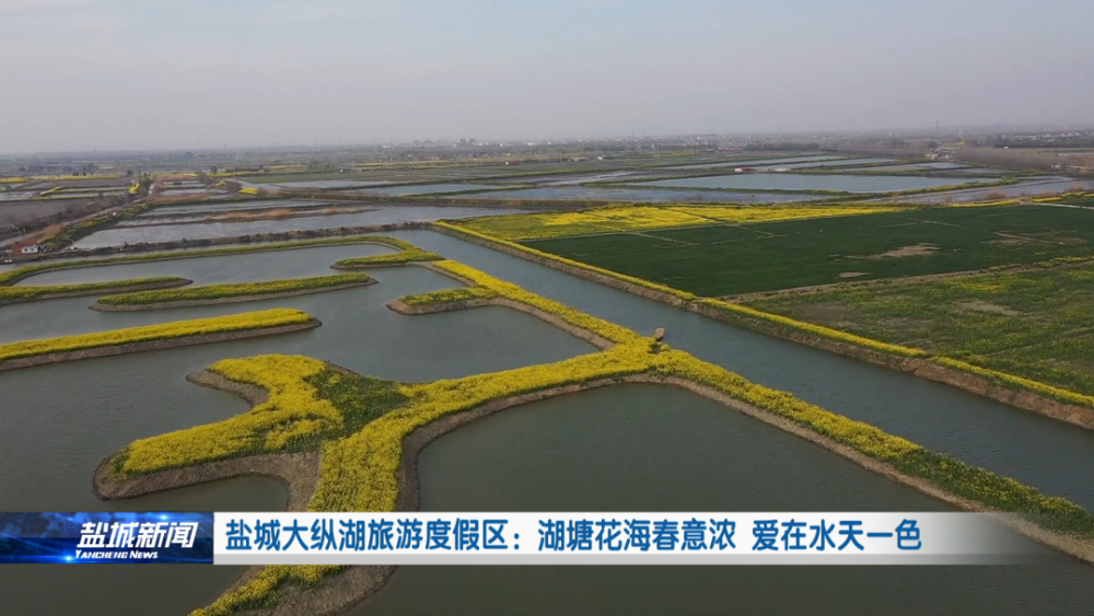 盐城大纵湖旅游度假区:湖塘花海春意浓 爱在水天一色