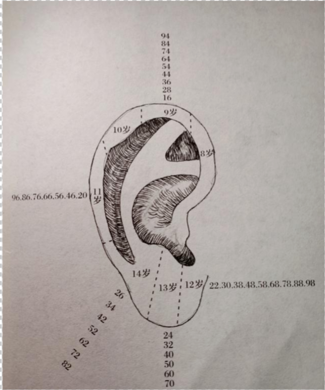 右耳流年对应参考部位图
