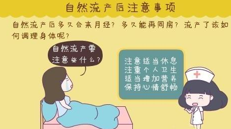 自然流产后怎么做,才能促进身体恢复?