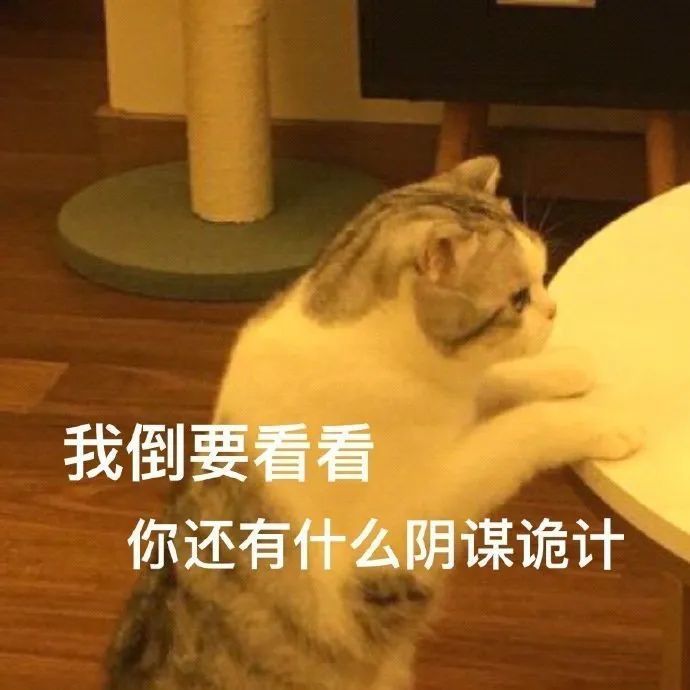 表情包我倒要看看你还有什么阴谋诡计