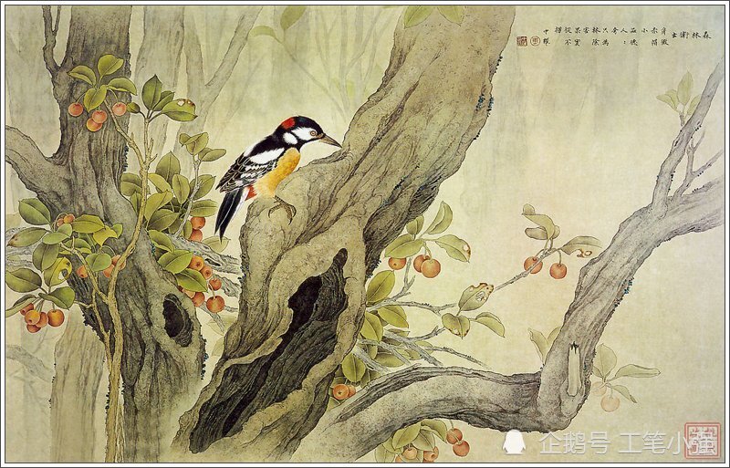 高清工笔画:周中耀绝美工笔花鸟画欣赏