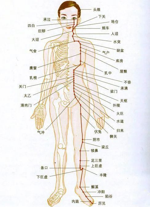 脾胃为后天之本做什么可以保护胃气呢