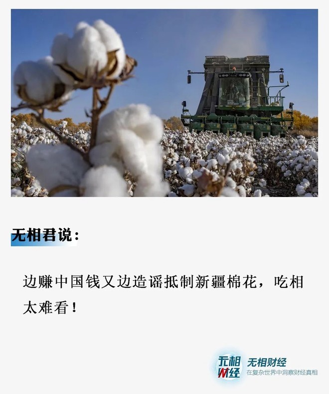 新疆棉事件的真相:表面是棉花问题,背后全是利益!