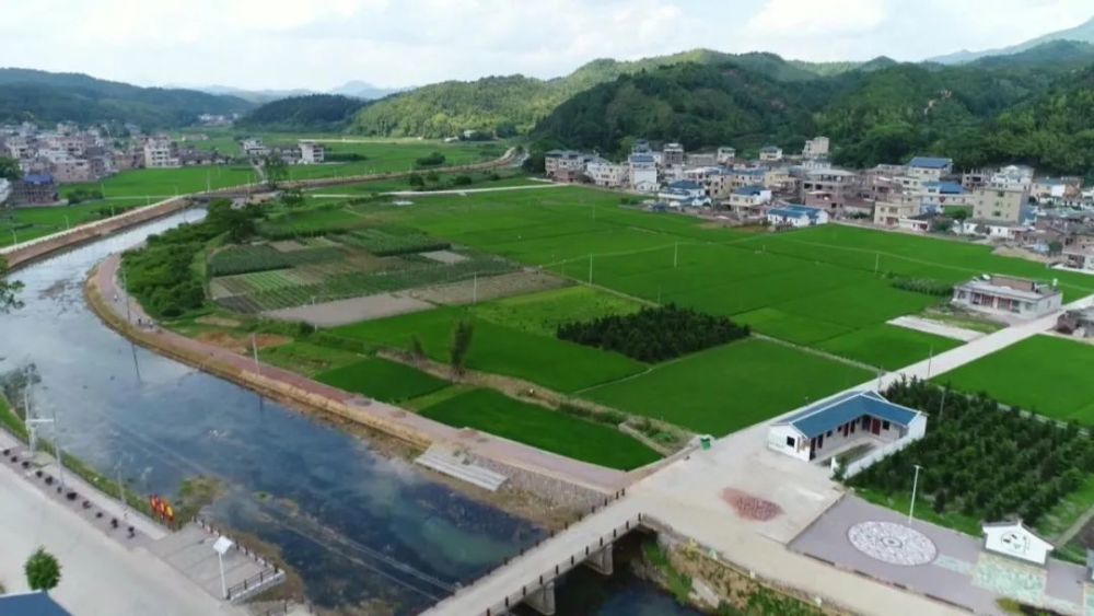 河头镇向阳村:昔日革命发源地,今日美丽新农村