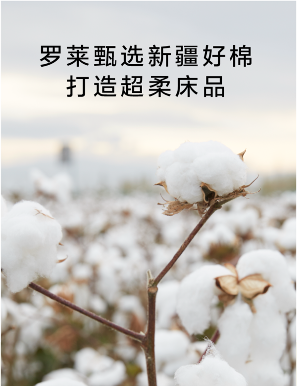 hm抵制新疆棉花水星家纺罗莱生活等家纺企业霸气回应