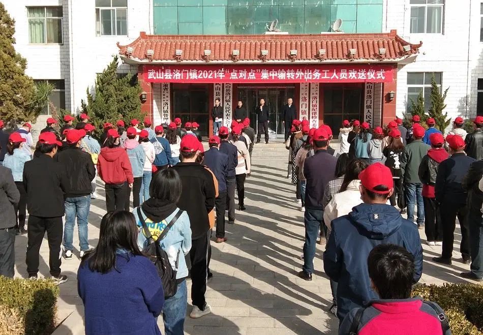 洛门镇人口_人口普查(3)