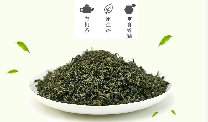 茶韵飘香美好春日邀你饮一杯日照绿茶