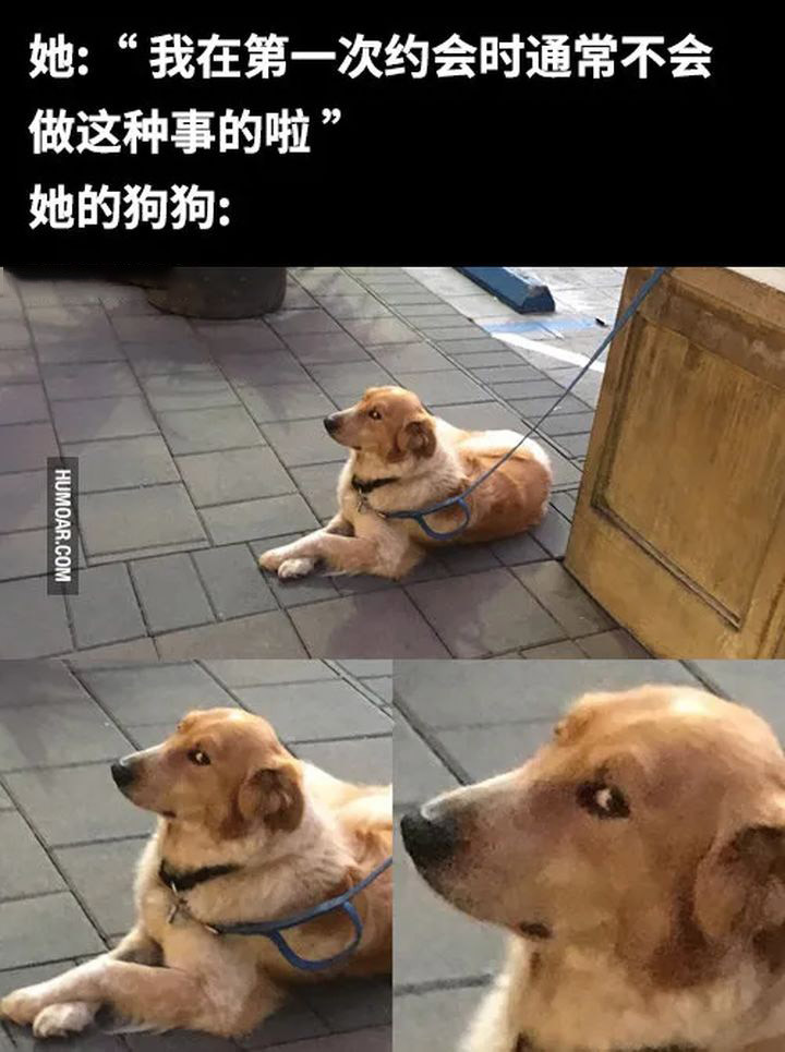 你有哪些让人笑到肚子疼的搞笑图片(4)