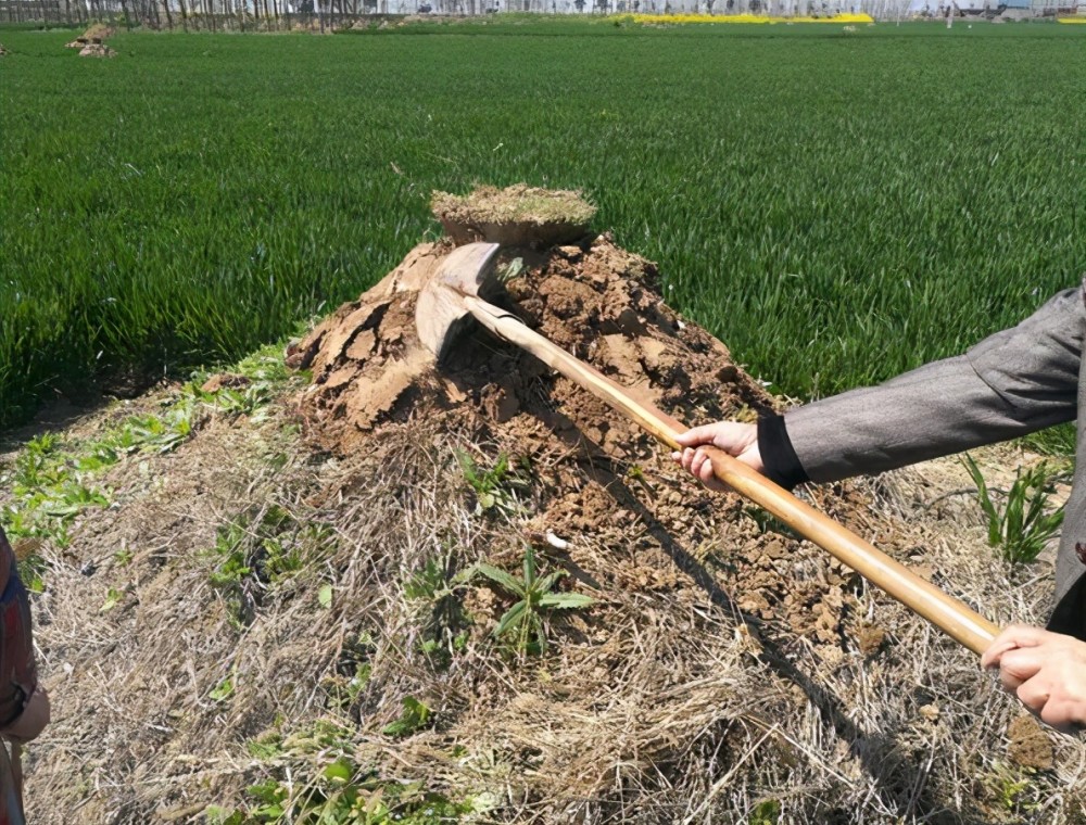 现在的许多墓坑都是钩机挖的,逝者入土为安之后,进行人工填埋,很大