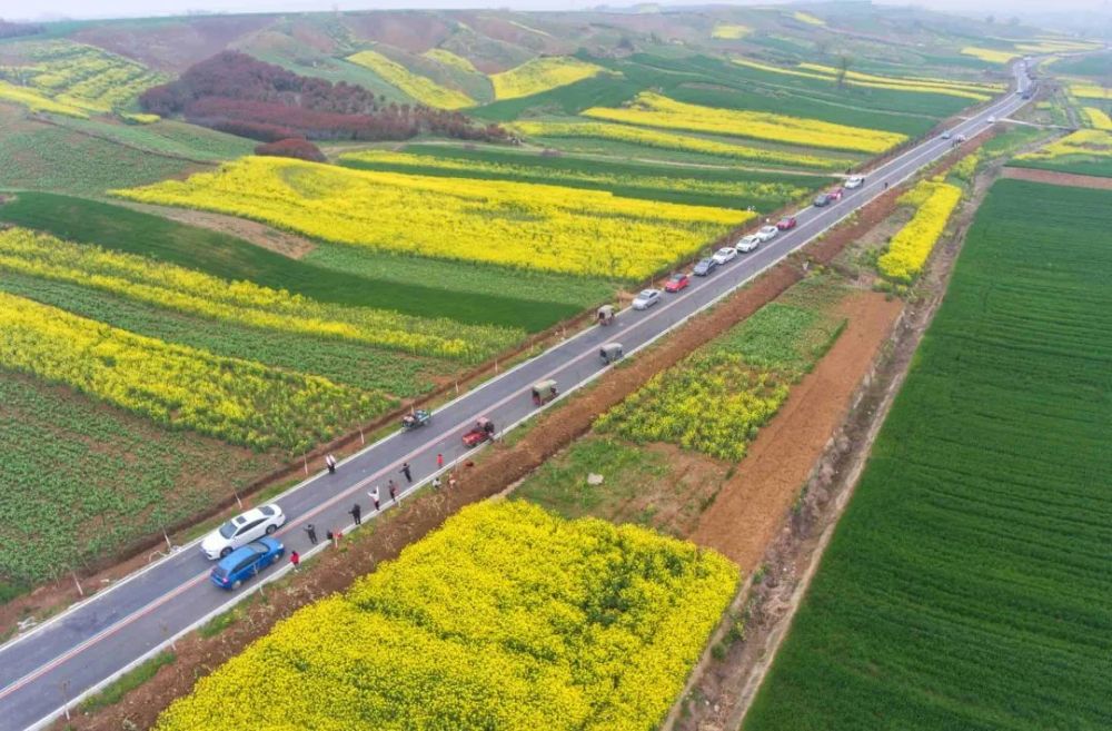 樊城一号公路沿线游人如织