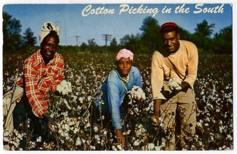 丑恶!数十年前美国还低价雇黑人摘棉花,摘棉黑奴更被画成了猴子