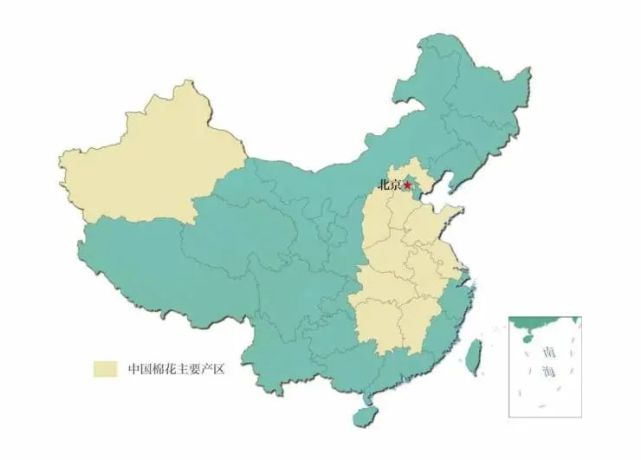 新疆为什么盛产优质的棉花?