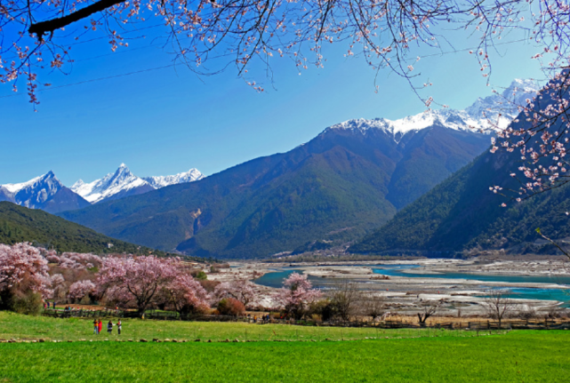 中国最美春天在哪里?雪山下的桃花镇林芝