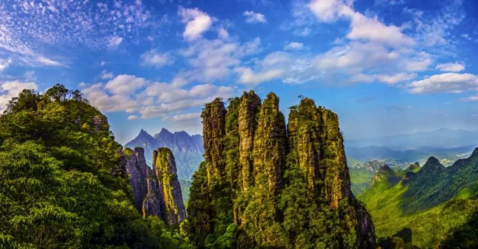 spring 北帝山间 杜鹃花开 艳红的花色簇拥在景区里 形成了别样风景