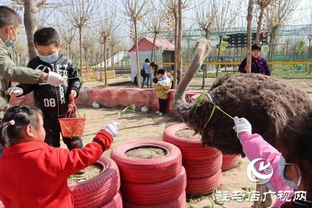 苹果树幼儿园赴遂平县世外桃源教育农场开展春季游学