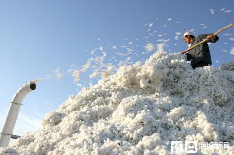 戳破"棉花谎言",a股力挺新疆棉花!涉事品牌自保辩解