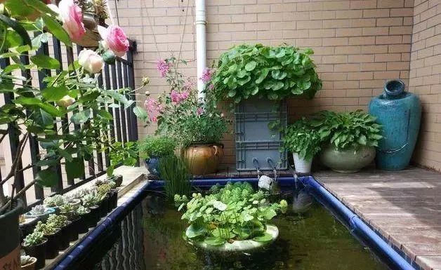 楼顶小露台鱼池改造,打造我的小小空中花园