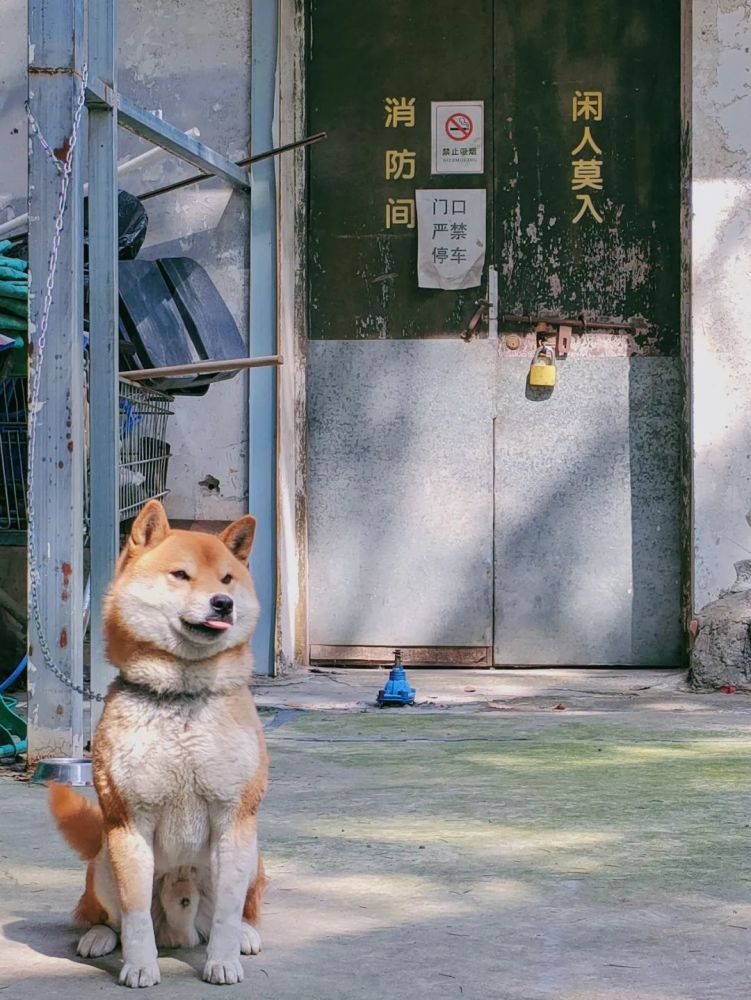 橘子    闲人勿扰