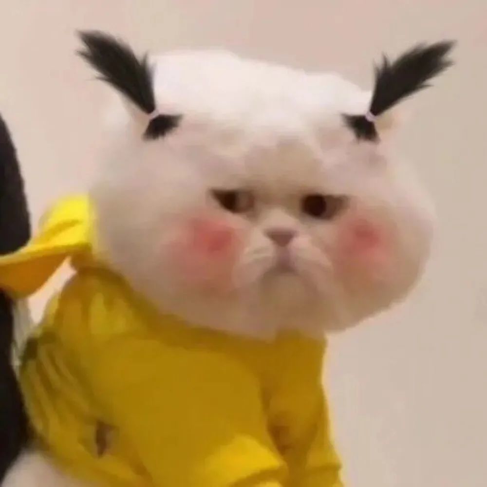 萌娃萌宠头像