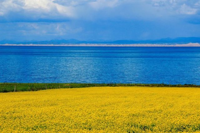 梦幻青海湖vip丨邂逅最美的青海湖,在最美的季节遇见你,青海湖/东方小