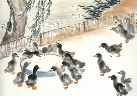 古诗词文赏析之古诗画鸭揭傒斯
