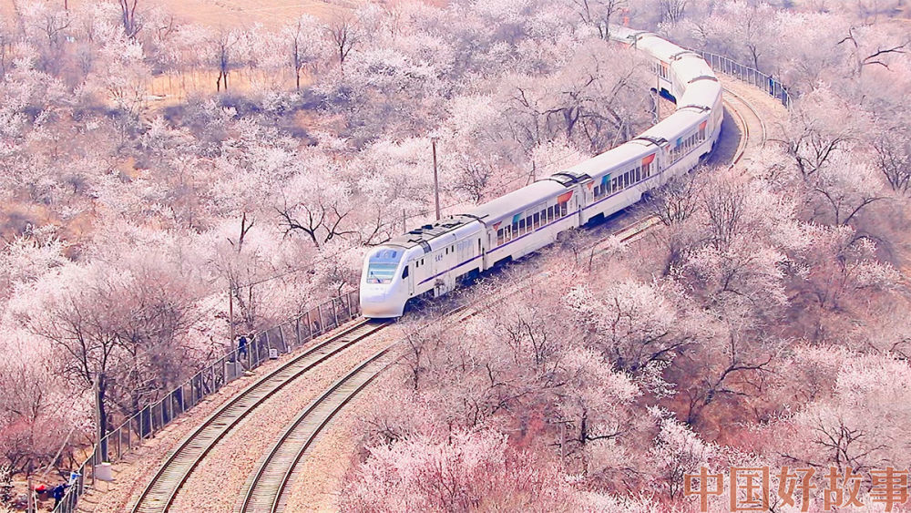 开往春天的列车已进站,错过等一年!