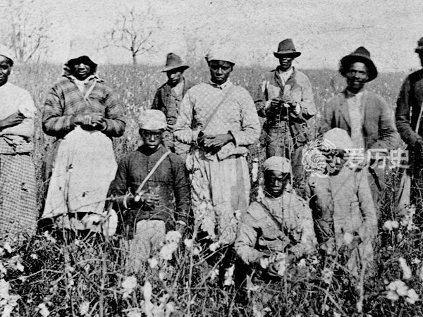当时的美国棉花种植园更确切地说就是一个"集中营",对奴隶施行的是不