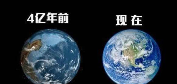 地球46亿岁了,4亿年前的地球什么样?蘑菇超7米鱼比航母大
