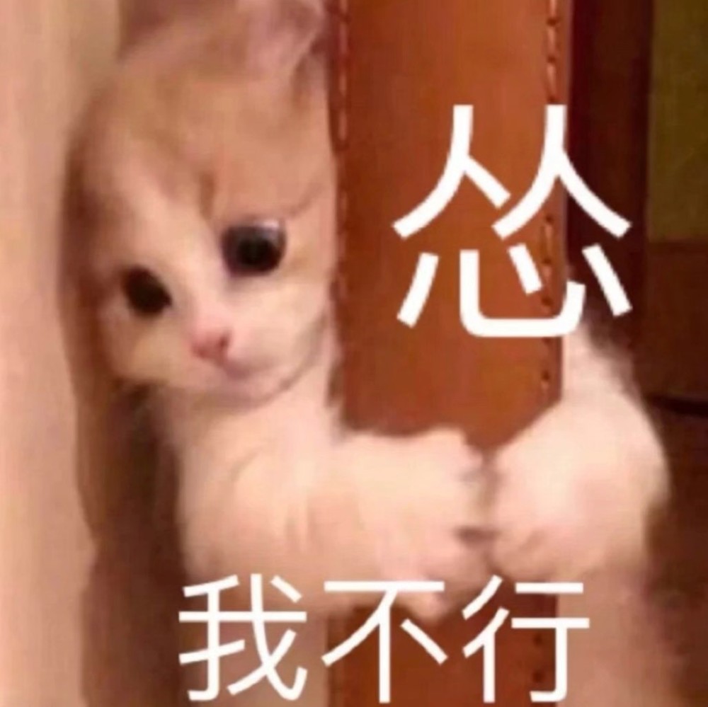 今日份表情包-你别过来我怕猪