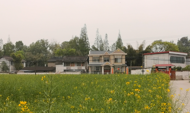 因三星堆而爆红的三星村如今咋样了?