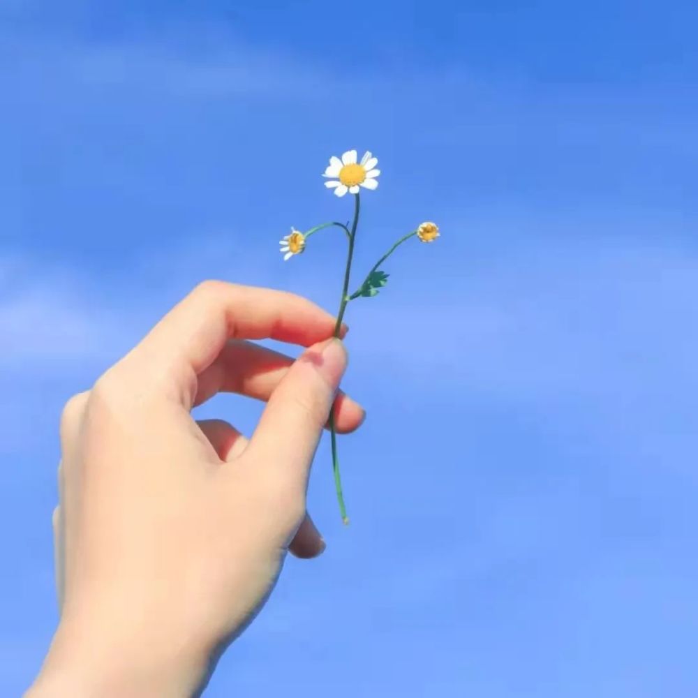 【头像】惊艳了时光的宫崎骏语录