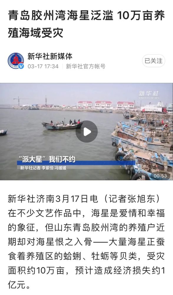 青岛海星泛滥,整形医生教你这样吃海星更美味!