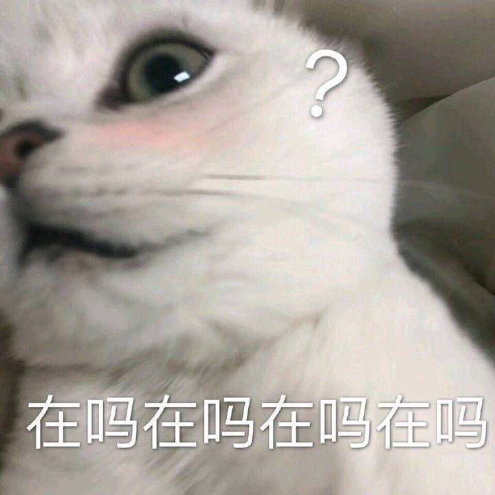 糊糊可爱猫咪表情包