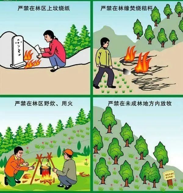 君山区:全面排查隐患 备战"清明节"森林防火_腾讯新闻