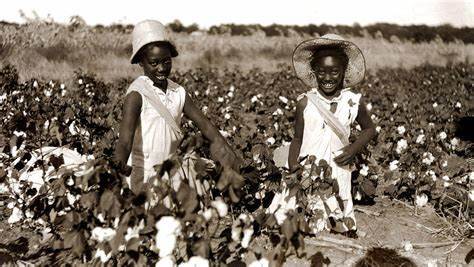 美国为啥非要用黑奴种棉花?