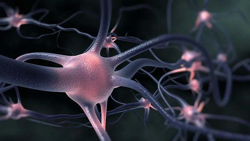 运动神经元都有哪些临床表现