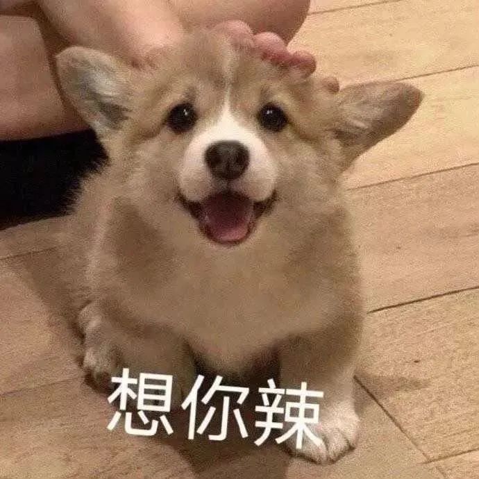 又是一个小细节.