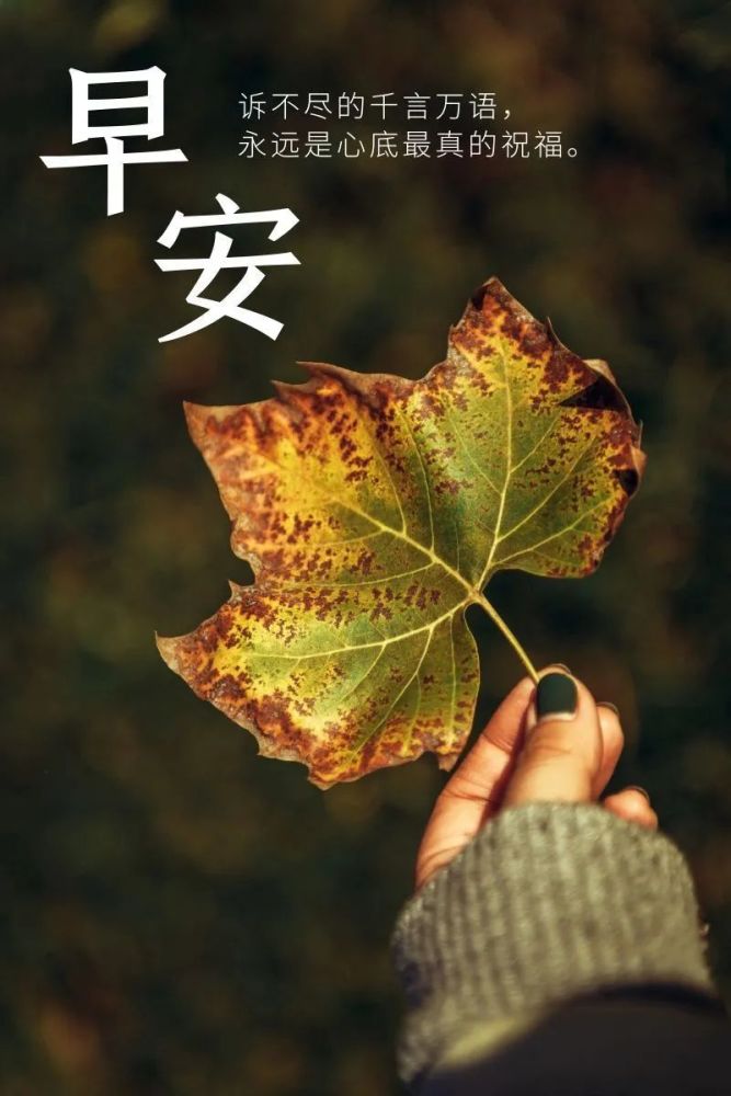 周六早安心语正能量说说感悟微信最暖心的早上好图片带字早上好阳光