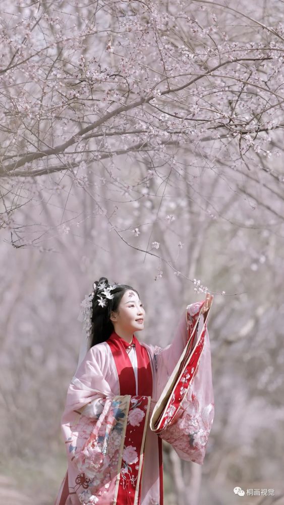 汉服写真|樱花