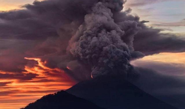 獐子岛回应汤加火山爆发致扇贝涌入_獐子岛扇贝_獐子岛扇贝粉丝销量