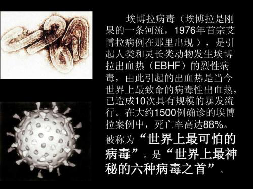 为什么埃博拉病毒没有传播到中国?又叫丧尸病毒,致死率最高90%