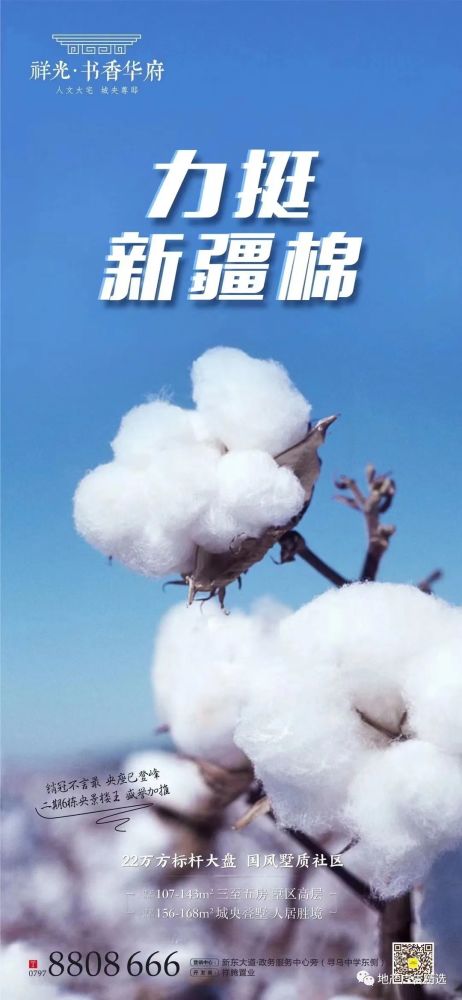 地产支持新疆棉花热点平面广告精选