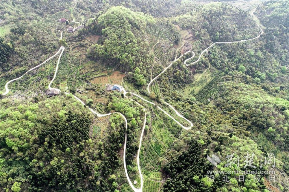 陈家岗村盘山公路"串起"村民的幸福新生活.通讯员供图