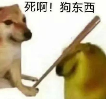 表情包:柴犬cheems狗子