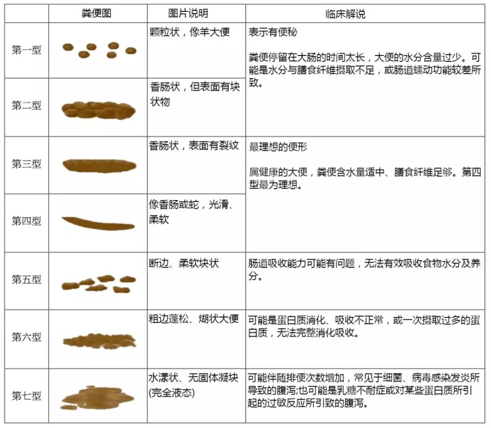 根据bristol大便分类法(bristol stool scale,大便依其软硬度与形状